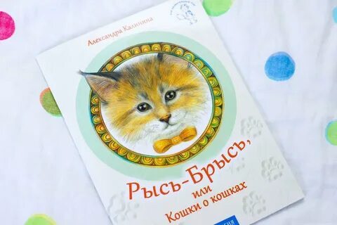 Мяу брысь