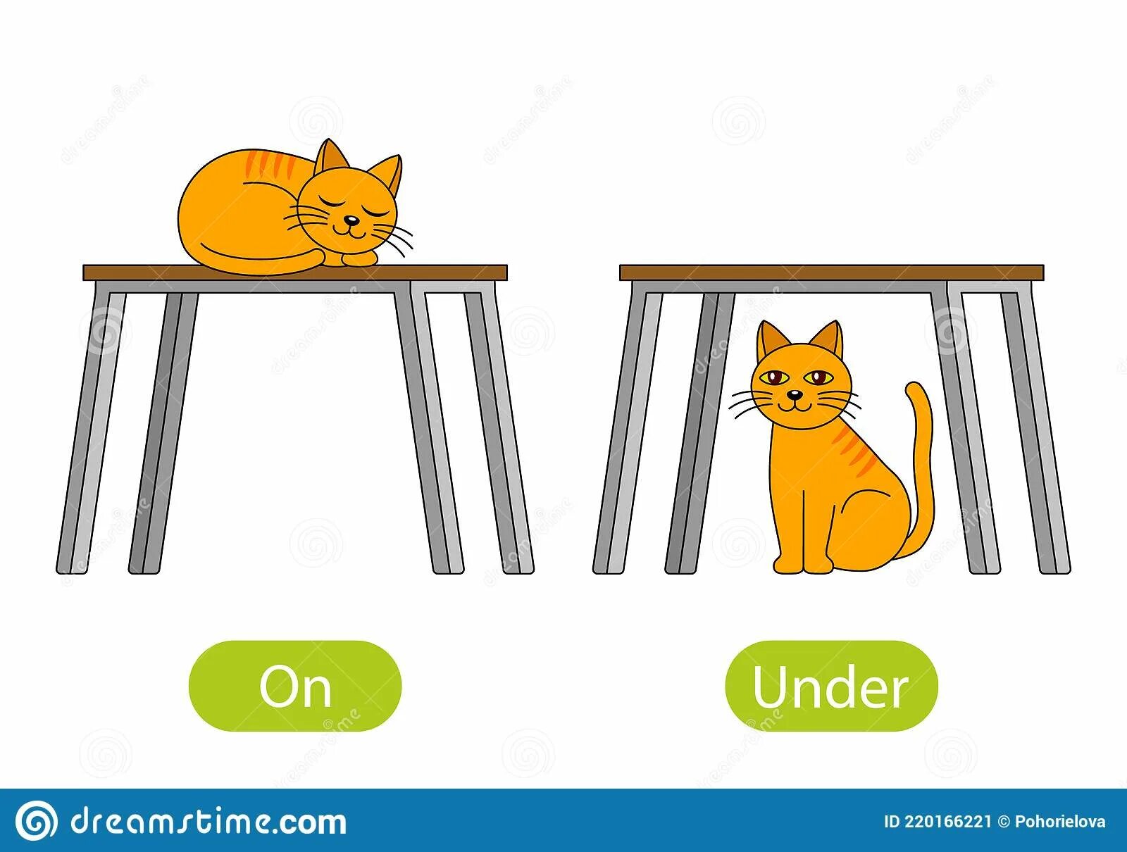There a cat on the table