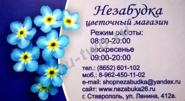 Номер незабудки