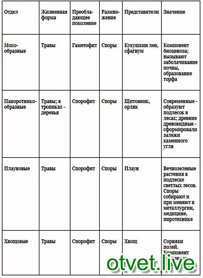 Таблица основные виды растений. Высшие споровые растения сравнительная таблица. Высшие споровые растения таблица. Высшие споровые растения 5 класс биология таблица. Споровые растения 5 класс биология таблица.