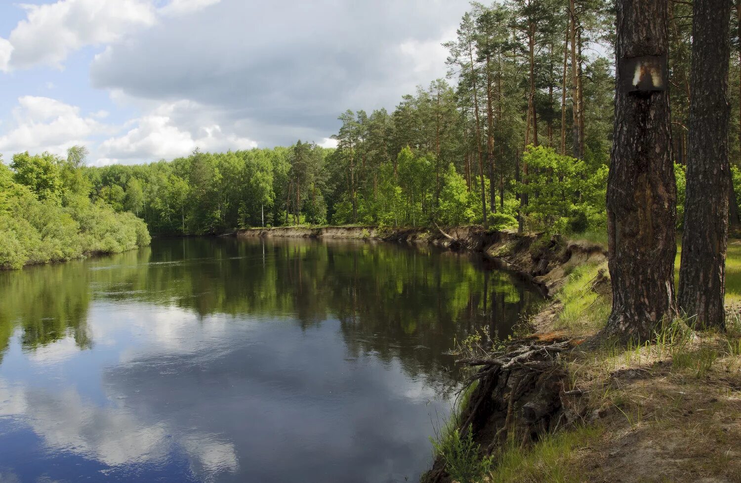 Река пра мещера. Деулино рязанская область. Деревня деулино рязанская область. Река пра деулино. Деулино рязанская область.