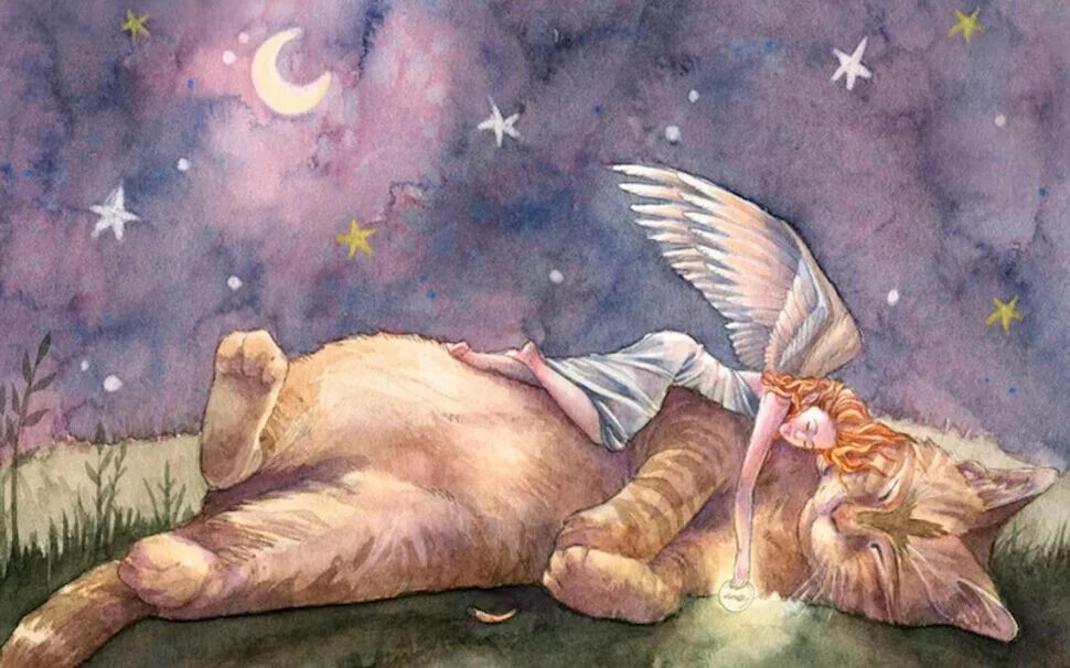 Сказочный сон. Ангел спящий. Сон иллюстрация. Сновидения иллюстрация. Мыши днем спят ночью