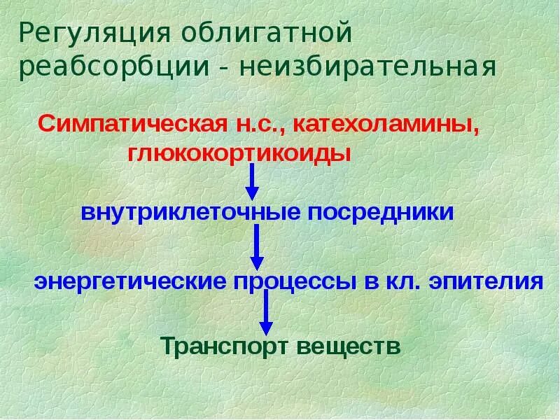 Повышение реабсорбции. Регуляция реабсорбции. регуляция реабсорбции и секреции. механизмы регуляции реабсорбции. схема регуляции реабсорбции.