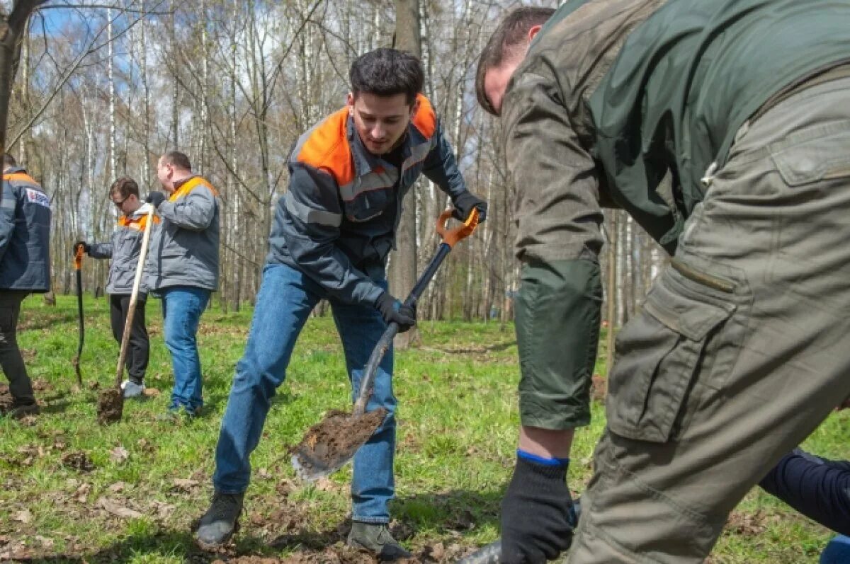 Обязателен ли субботник