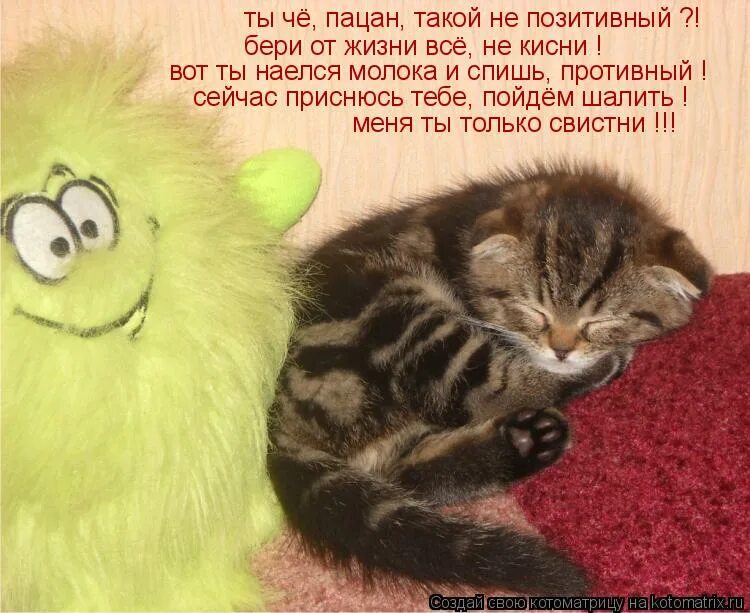 смешной образ жизни. когда настя умничает. я боюсь что мы завтра не проснемся. когда кто-то много говорит. я боюсь что мы завтра не проснемся.