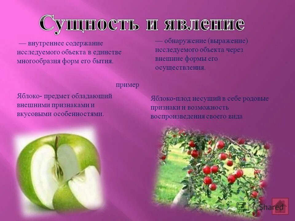 Сущность. Категории диалектики содержание и форма. Сущность и явление диалектики. Сущность и явление диалектики. Сущность и явление в философии примеры.