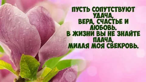 С днем рождения дорогая свекровь картинки