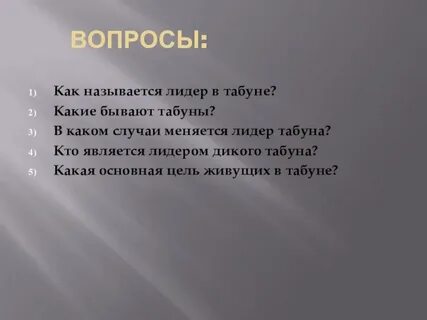 Значение слова табун