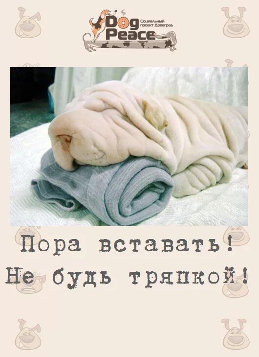 Доброе утро вставай на работу