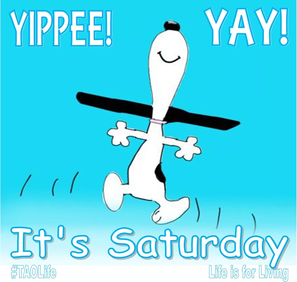 I like saturday. Saturday. saturday картинки для детей. saturday it&#039;s saturday. saturday суббота.