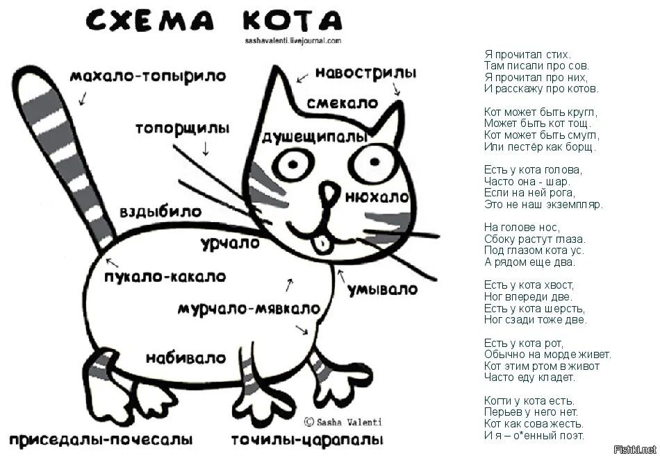 Составить схемы кот. Схема кота. стихотворение про кота смешное. смешные стихи про котов. стих про кота смешной.