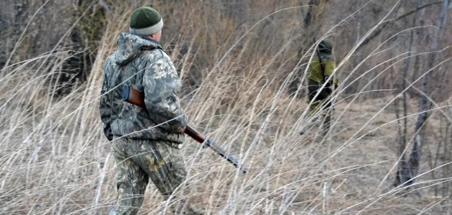 Правила охоты минприроды. Охота в 2021 году. Охотничье законодательство. Соблюдение правил охоты. Изменения охоты 2021.