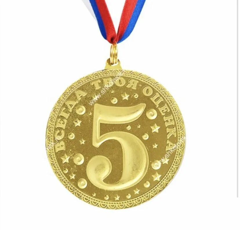 Медаль пятерка. Медаль с цифрой пять. Медаль оценка 5. Медалька с цифрой 5. Отличная пятерка