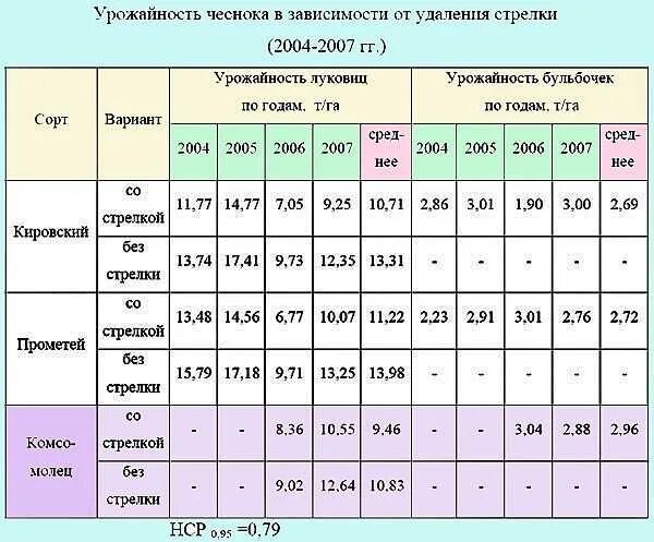 Средняя урожайность чеснока с 1 га. На один гектар сколько чеснок. Урожайность чеснока с 1 гектара. Урожайность чеснока с гектара. Урожайность чеснока