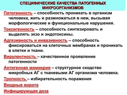 1 2 группа патогенности какой класс