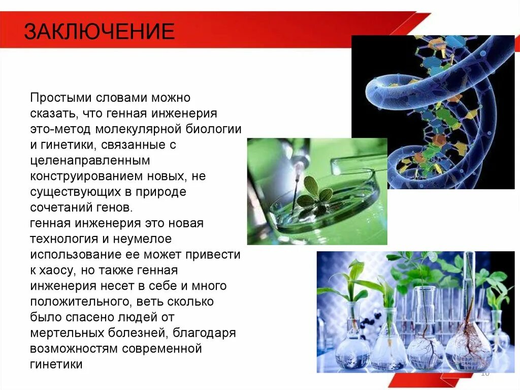 Генетическая инженерия это в биологии. Генная инженерия в биологии и медицине. Метод генной инженерии в биологии. Генноинджинерия в биологии.