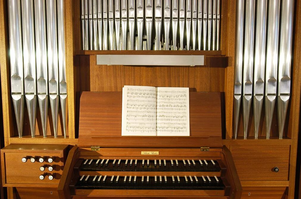 Самый древний орган. Органный концерт "и.с.Бах и итальянские композиторы". Органный концерт Бах 18 век. Филармония Пенза органный зал. Органист музыкальный инструмент.