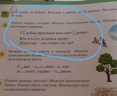 Задания прочитай загадку отгадай. Задание по выбору подумай и выбери. Прочитай загадки отгадай .Спиши. Задания прочитай загадку запиши отгадку 1 класс.