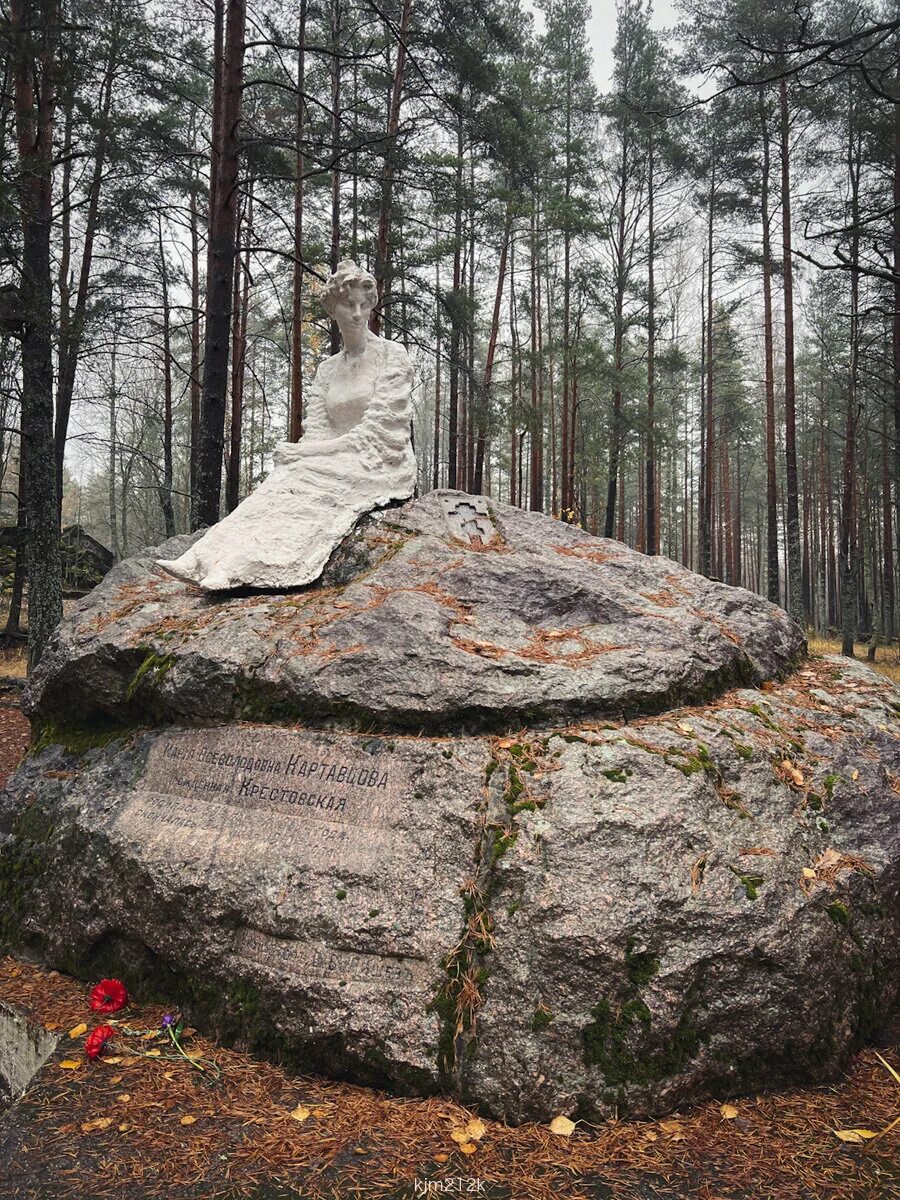 Марьина гора коттеджный поселок. Деревня марьина гора. 16 соток. Марьина гора новосибирск. Деревня марьина гора.