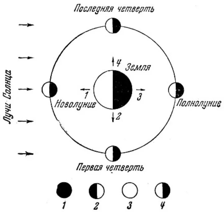 Где находится полная луна около полуночи. Вид Луны между первой четвертью и полнолунием. Первая четверть Луны. Нарисуйте вид Луны между первой четвертью и полнолунием. Последняя четверть Луны схема.