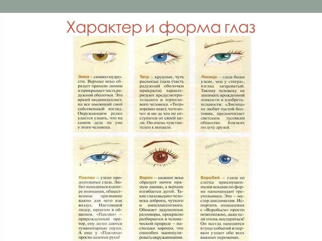 Как узнать какие глаза. Характер и форма ГОЛАЗ. Формы глаз. Форма глаз и характер человека. Характер по разрезу и форме глаз.