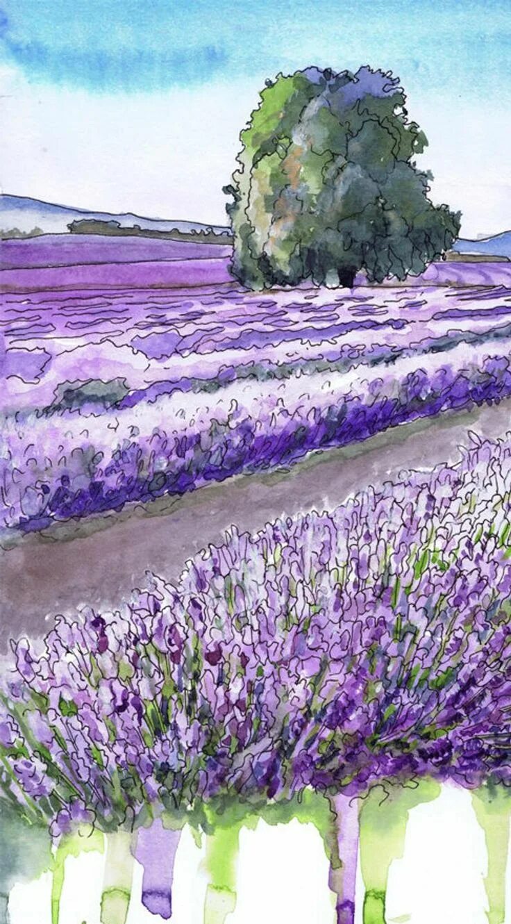 Польская художница малгожата шчечинска. Фиолетовая лаванда арт. Лаванда арт. Пейзажи цветов акварелью. Малгожата шчечинска (malgorzata szczecinska) —.