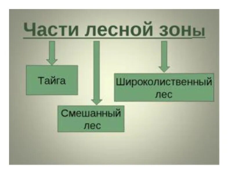 Лес презентация 4 класс плешаков. Леса России 4 класс. Леса России презентация. Зоны лесов России 4 класс. Леса России 4 класс окружающий мир.