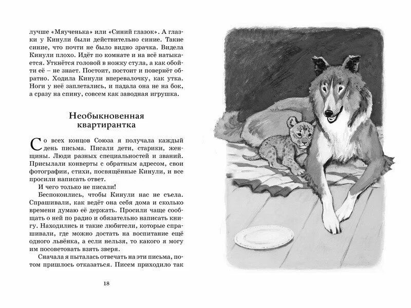 Название рассказа веры чаплиной о кузе. Книга Чаплина Фомка белый Медвежонок.