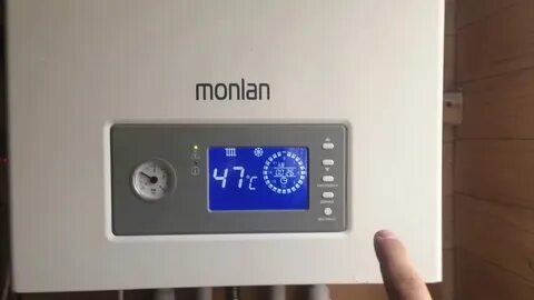 Е9 оазис