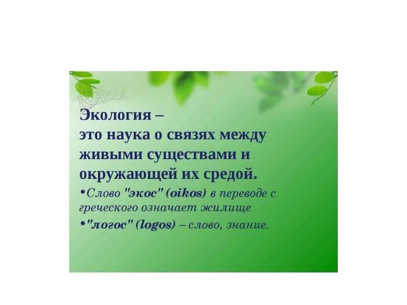 Ecology перевод. Год экологии. Экологическая обстановка в России презентация. Наука о связях между живыми существами и окружающей средой. Экология перевод с греческого.