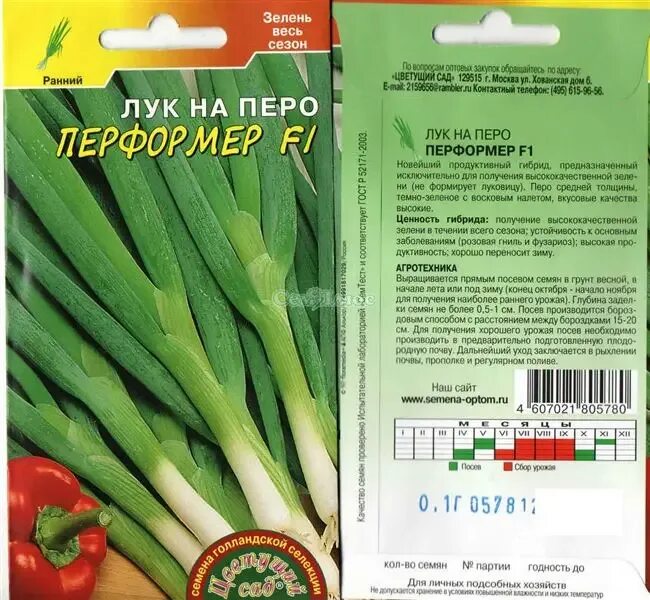 Лук батун под зиму. Лук перформер описание. лук перформер описание сорта фото. лук батун &quot;партнер&quot; перформер 1г лук батун перформер описание сорта. лук батун фактор описание сорта лук батун фактор описание сорта.