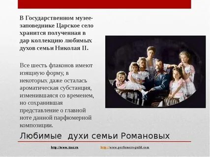 Кандидатура представителей семьи романовых