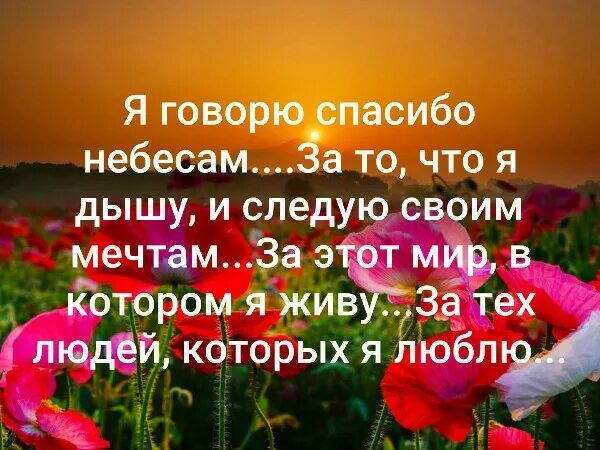 Спасибо небесам за то что я живу