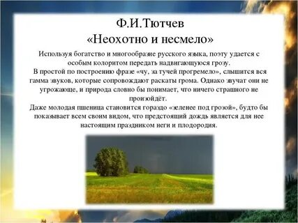 Ах почему несмелые