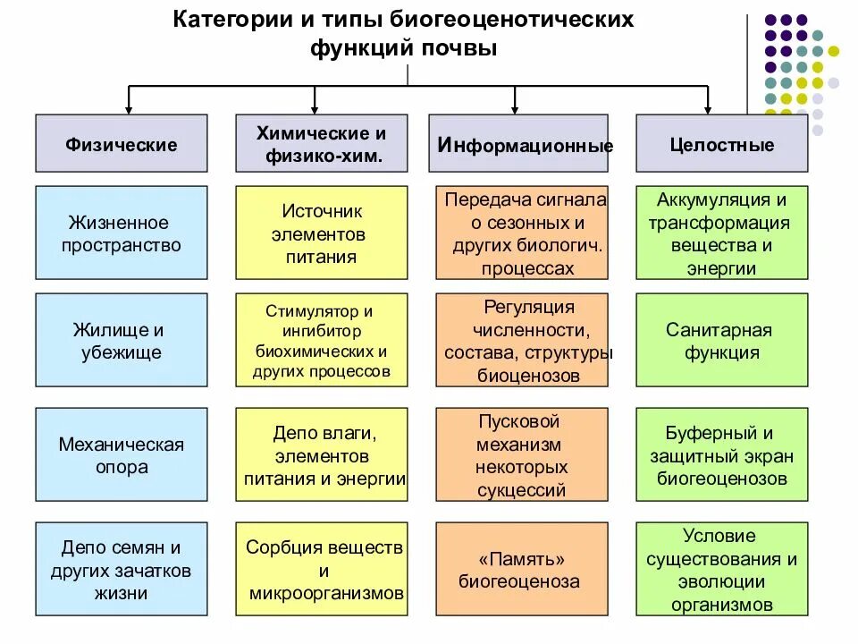 Какие функции выполняет почва. Экологические функции почв. основные функции почвы. экосистемные функции почв. биогеоценотические функции почв.