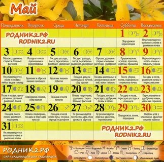 Посевной календарь на май 2021 год