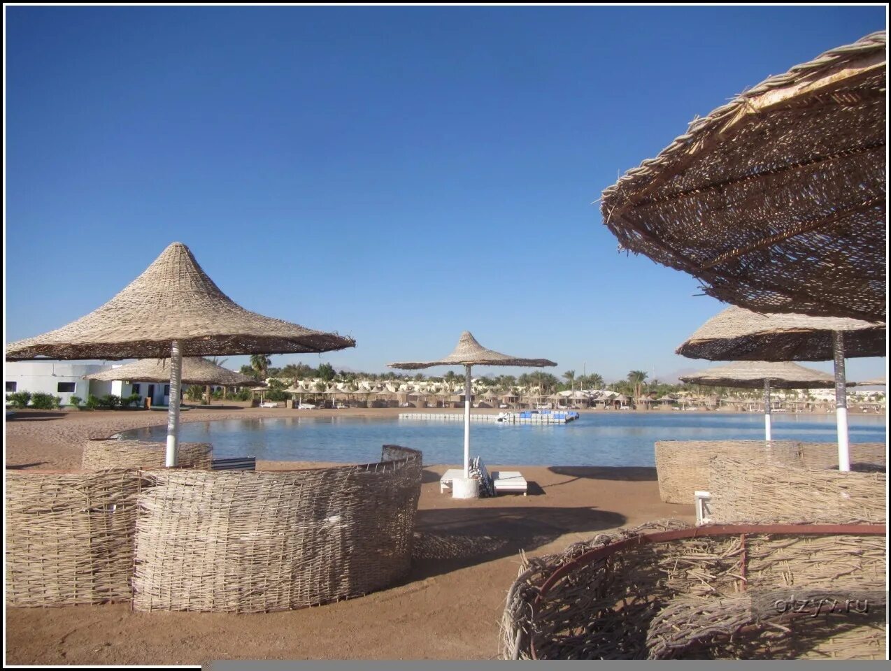 Coral beach египет. Отель Coral Beach Hotel Hurghada 4*. Корал Бич отель Хургада. Египет Корал Бич. Корал Бич Хургада нудистский.