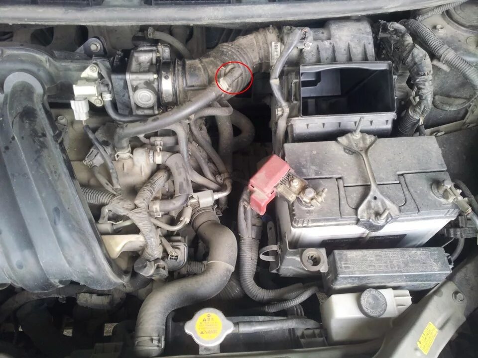 Renault-Nissan Tiida совместимость запчастей общяя база - Nissan Tiida (1G), 1,5