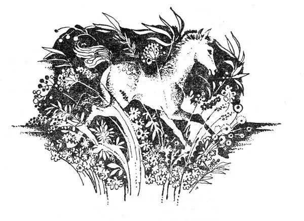 Есенин жеребенок. Сорокоуст есенина. есенин графика. трава графика.