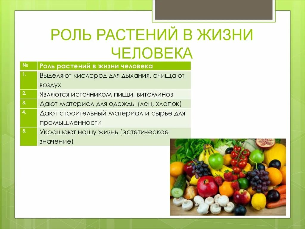 Значение культурных растений в жизни человека 7. Роль растений в жизни человека. Коль растений в природе. Роль растений в природе. Роль опмтений в природе.