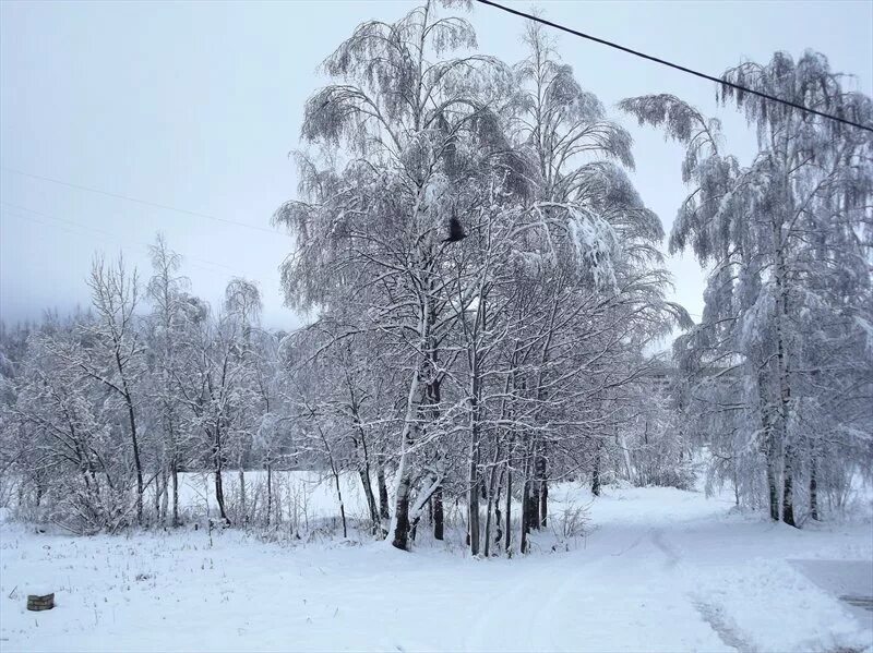 Байконур город весной. Москва снегопад ночь. Наутро выпал снег поэтому волга стала. С добрым утром выпал снег. А под утро выпал снег.