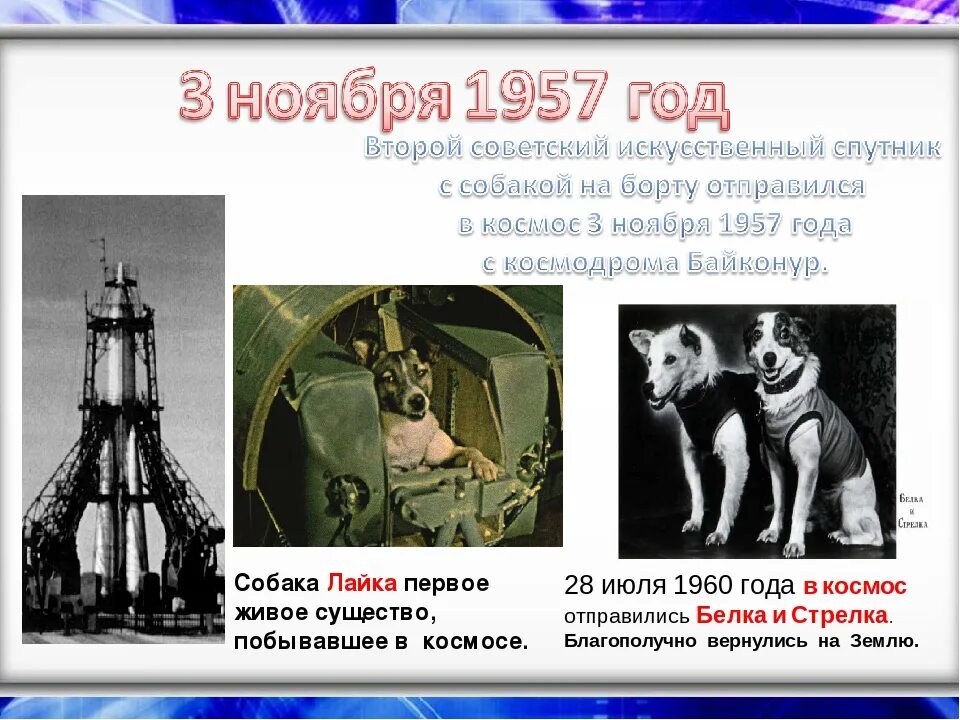 Первое живое существо полетевшее в космос. Собачка лайка в 1957 году на космическом аппарате. 1957 Лайка в космосе. 1957 Г. первый космический пассажир – собака лайка.. 3 Ноября 1957 года.