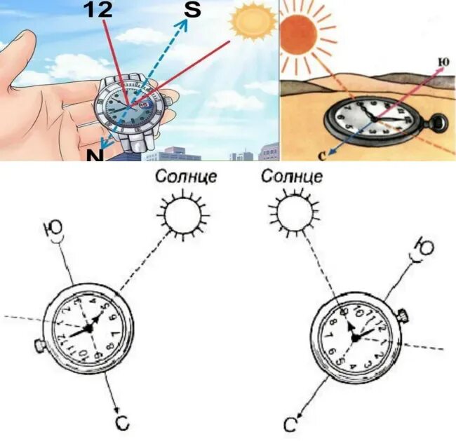 Ориентирование по солнцу и часам. Ориентирование сторон света по солнцу и часам. Ориентирование с помощью часов и солнца. Как определить без часов