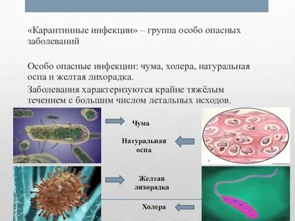 Особо опасные возбудители