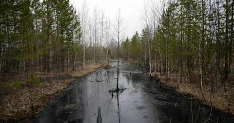 Карелия нефть