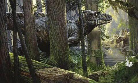As we walked around the prehistoric