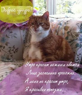 Доброе утро с забавными надписями