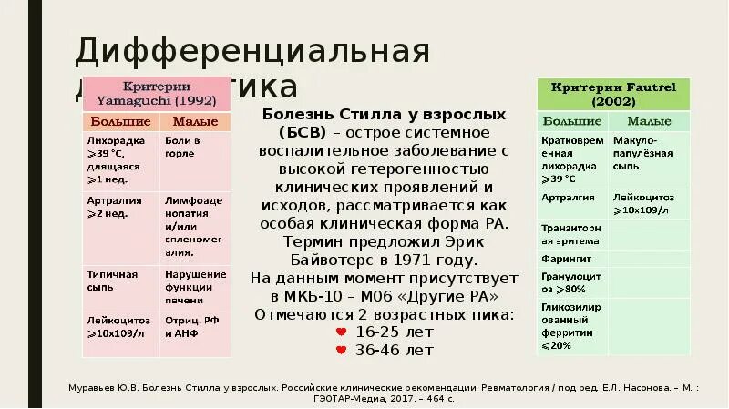 Stilla одежда. Stilla одежда. Stilla одежда. Стилла новосибирск. Стилла новосибирск.