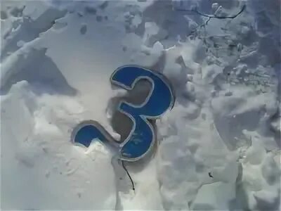 31 ой