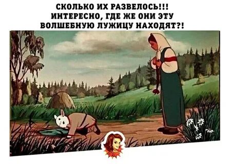 Они же эти же